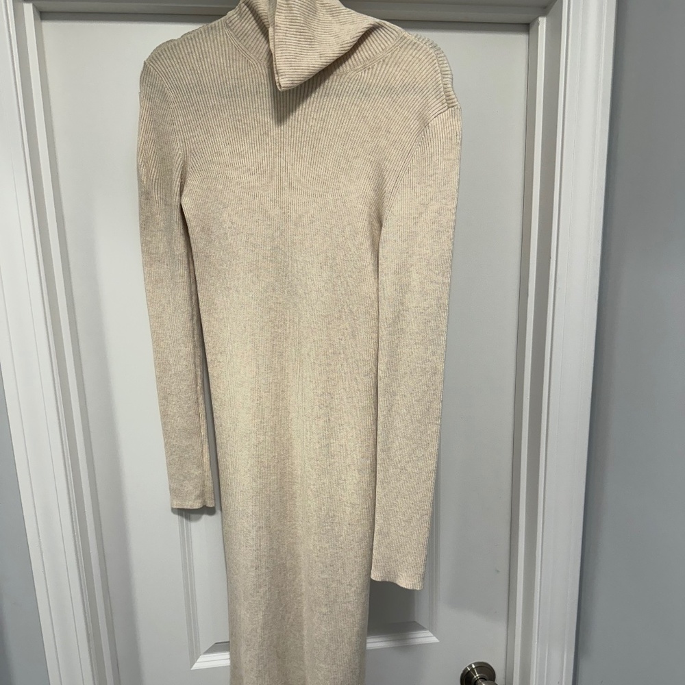 Express sweater dress